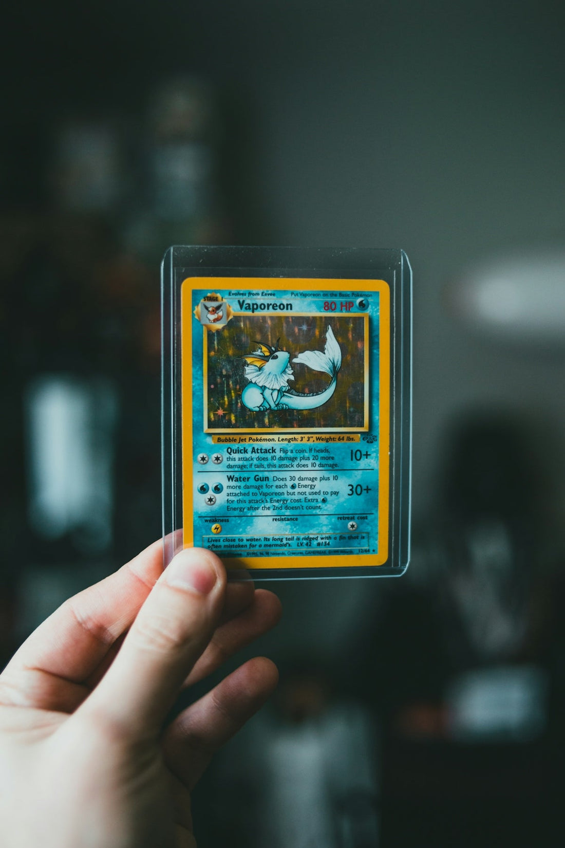 The Evolution of the Black Bolt Zekrom Pokemon Deck Box Through Japanese and Chinese Booster Boxes and Cards - King And Queen Games